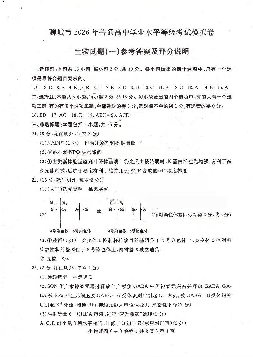 聊城市2026年普通高中学业水平等级考试模拟卷 生物答案第1页