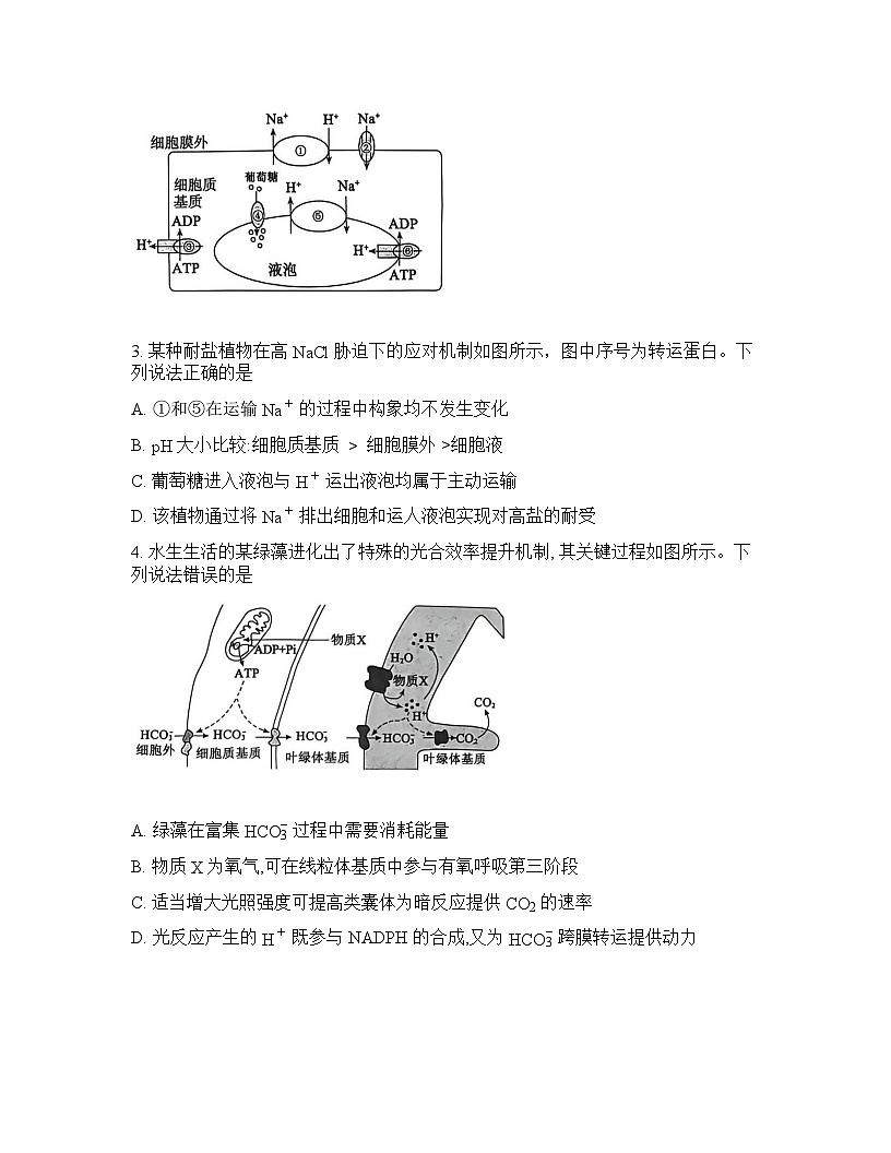 山东省滨州市2026年高三高考一模生物学试卷含答案第2页