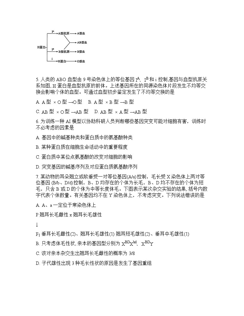 山东省滨州市2026年高三高考一模生物学试卷含答案第3页