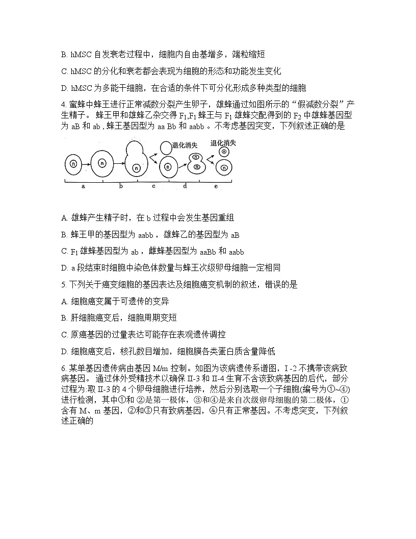 山东省济宁市2026年高三高考一模生物学试卷含答案第2页