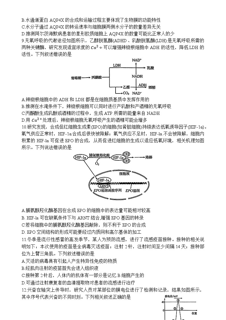 广东省部分学校高三下学期2月联考生物试题-A4第3页