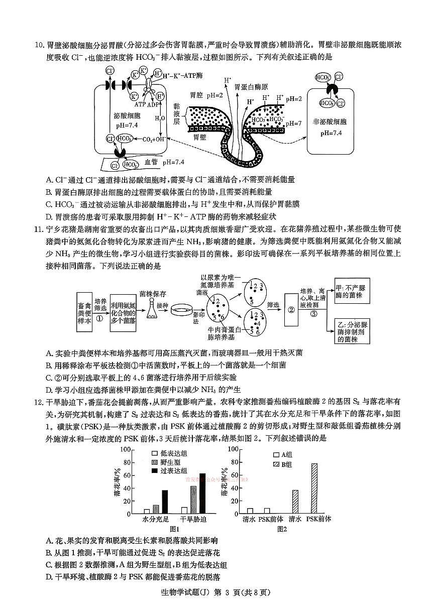 生物第3页