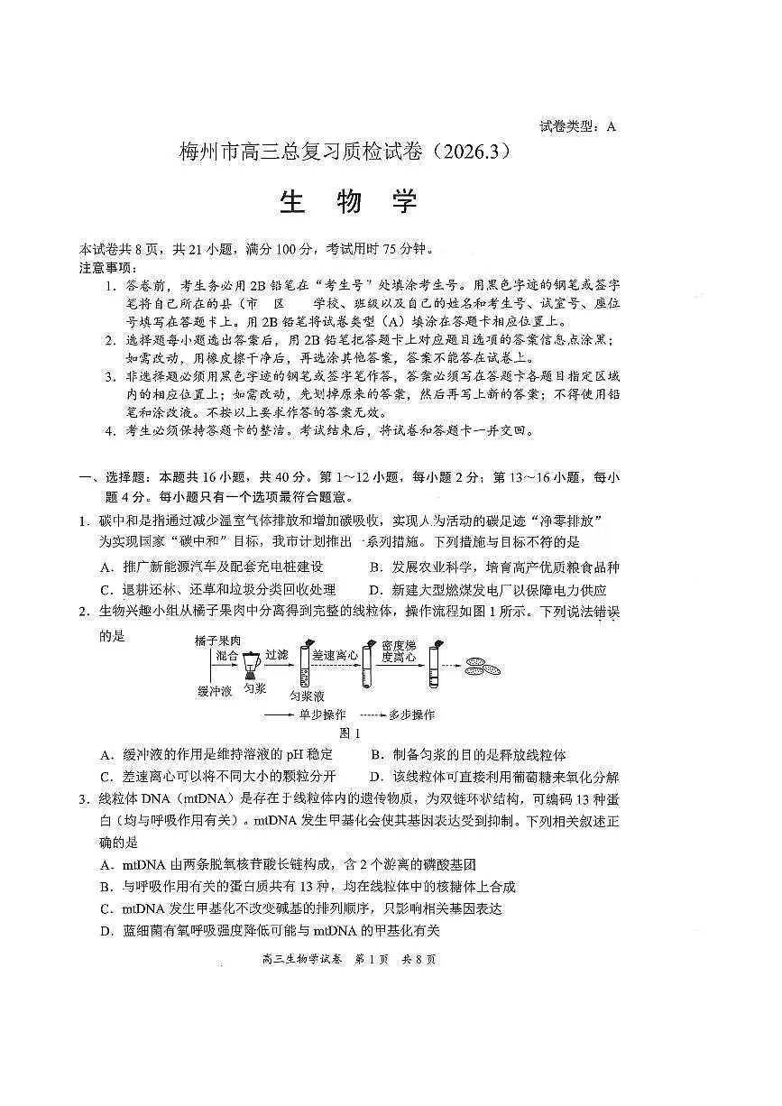广东省梅州市高三总复习质检试卷（2026.3）生物第1页