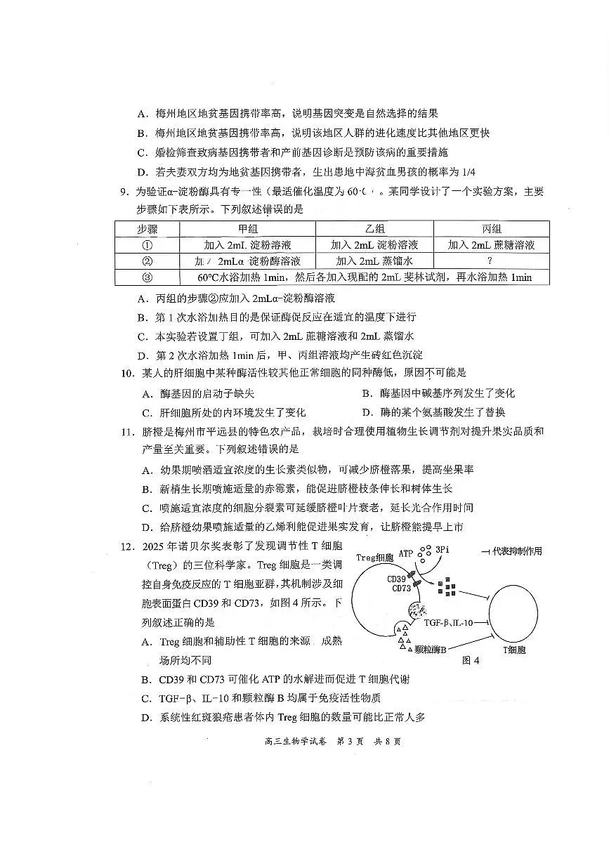 广东省梅州市高三总复习质检试卷（2026.3）生物第3页