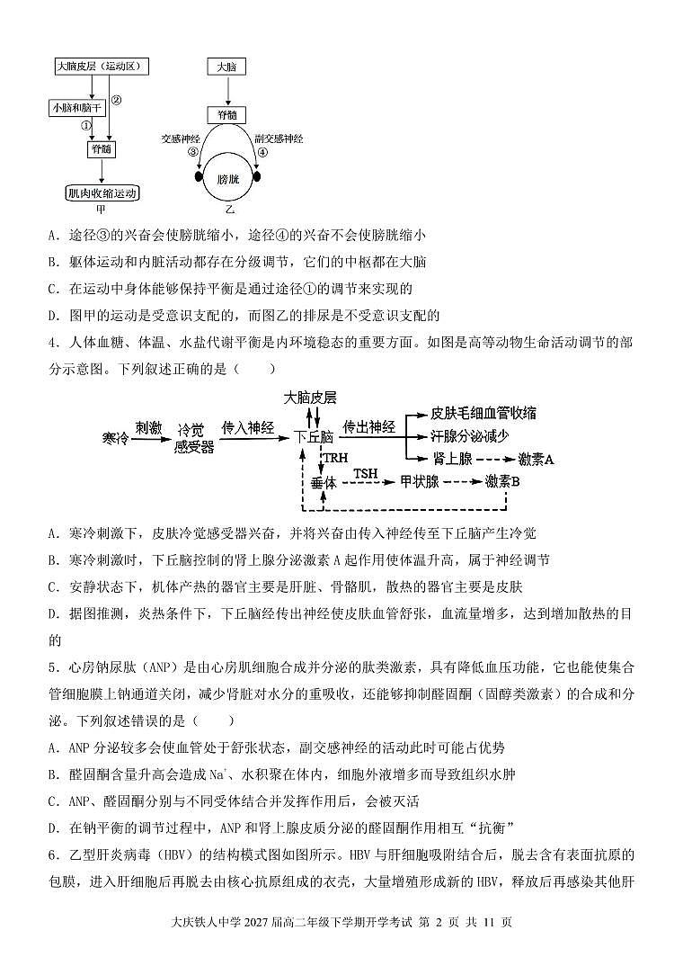 大庆铁人中学2024级高二年级下学期开学考试生物试题第2页