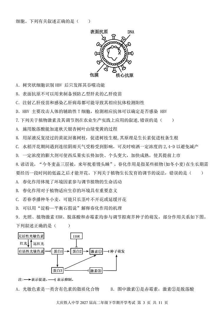 大庆铁人中学2024级高二年级下学期开学考试生物试题第3页