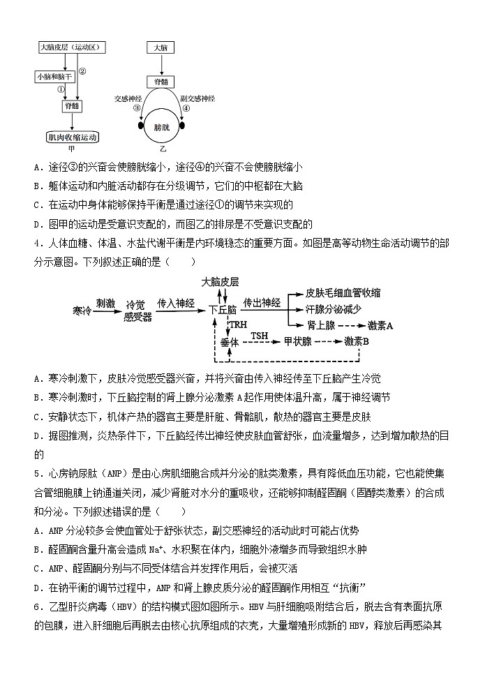 大庆铁人中学2024级高二年级下学期开学考试生物试题第2页