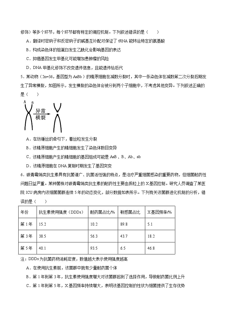 河北省五个一联盟2026届高三上学期1月模拟考试生物试卷（Word版附答案）第2页
