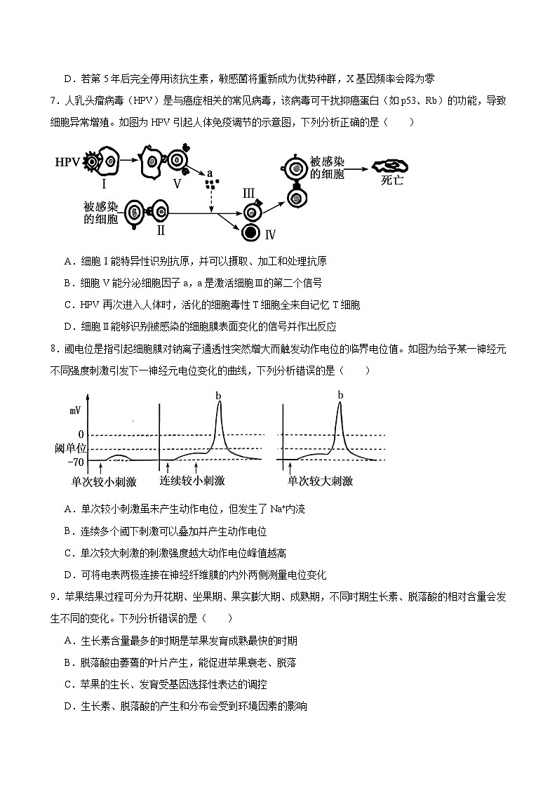 河北省五个一联盟2026届高三上学期1月模拟考试生物试卷（Word版附答案）第3页