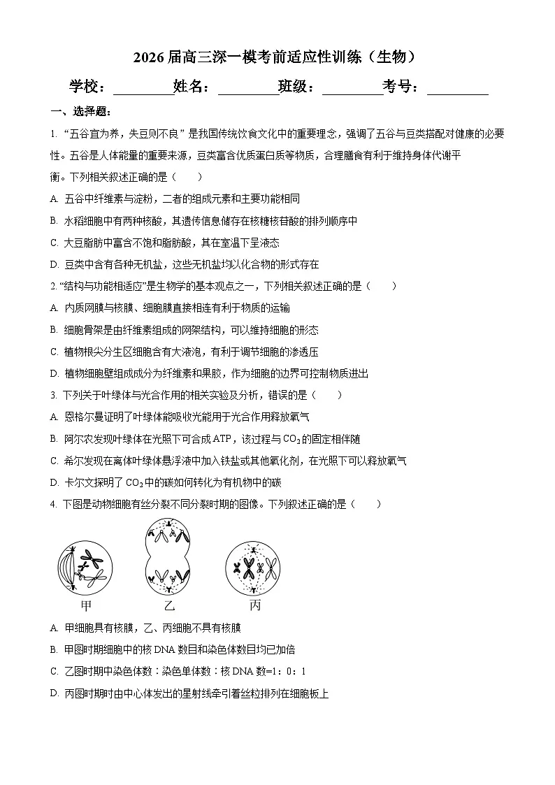 广东深圳2026届高三一模考前适应性训练生物试题（原卷版）第1页