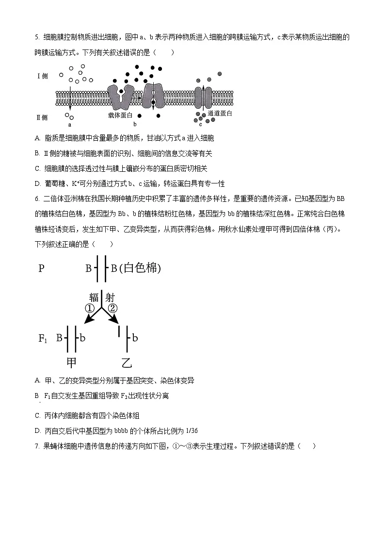 广东深圳2026届高三一模考前适应性训练生物试题（原卷版）第2页