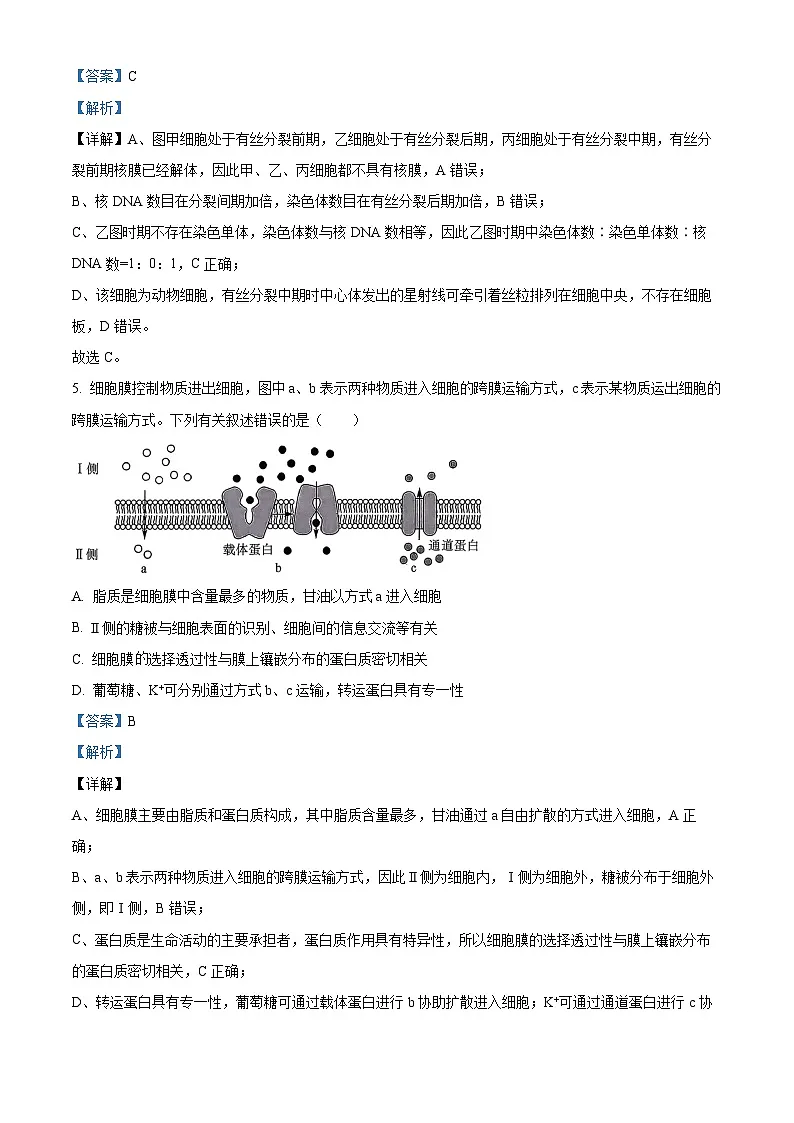 广东深圳2026届高三一模考前适应性训练生物试题 Word版含解析第3页