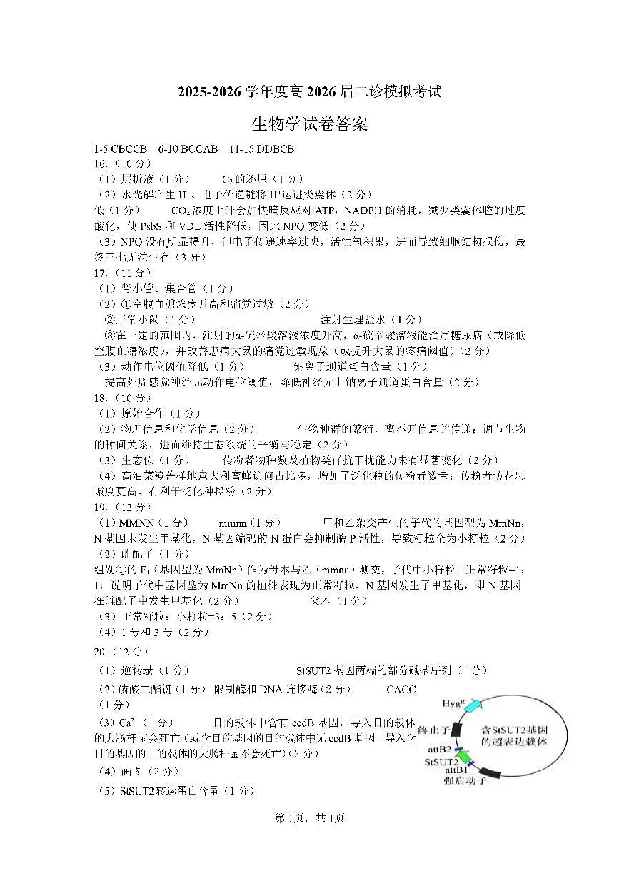 成都市第七中学2025~2026学年度下期高2026届二诊模拟考试 生物答案第1页