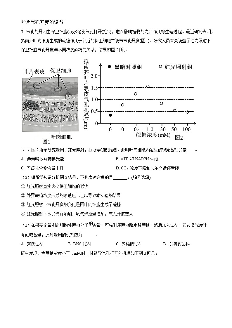 上海市杨浦区2026届高三上学期12月模拟质量调研生物试题（原卷版）第3页