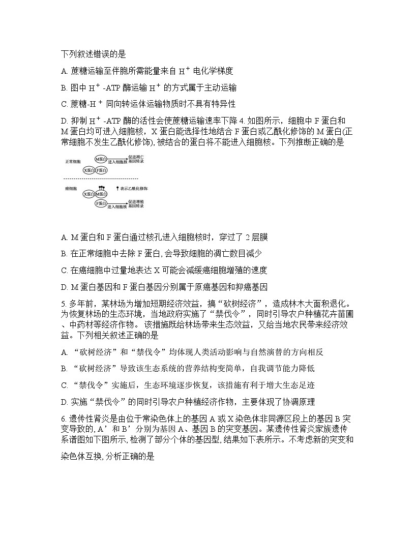 四川省成都七中2026年高三高考二模生物学试卷含答案第2页