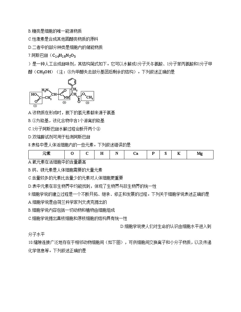江苏省连云港市灌南县2025_2026学年高一上学期期中考试生物试卷（文字版，含答案）第2页