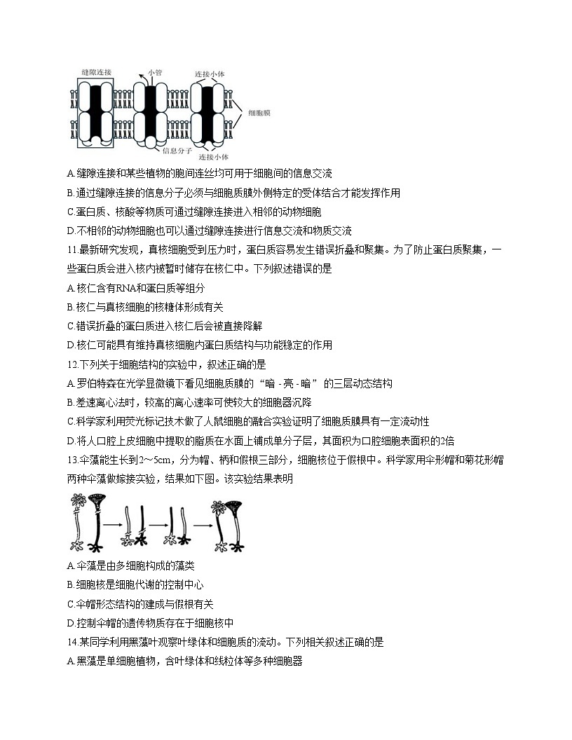 江苏省连云港市灌南县2025_2026学年高一上学期期中考试生物试卷（文字版，含答案）第3页