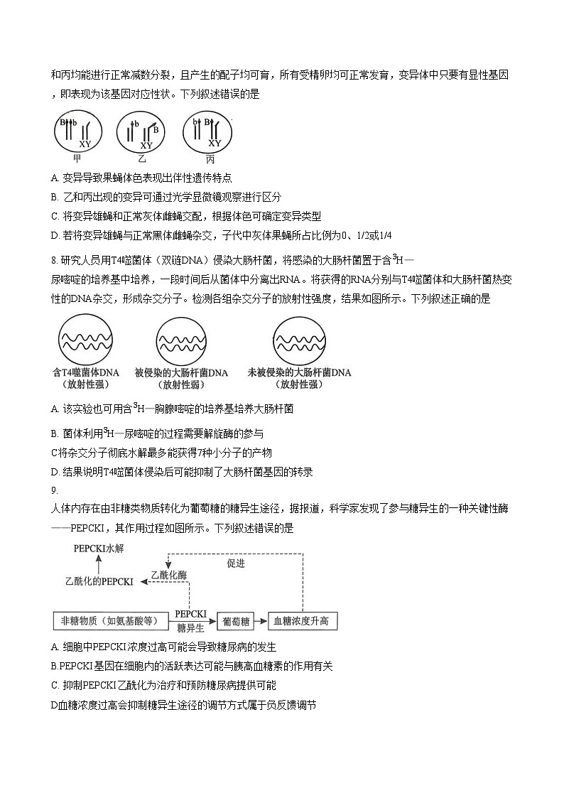 2026届山东省济南市市中区山东省实验中学高三模拟预测生物试题（文字版，含答案）第3页