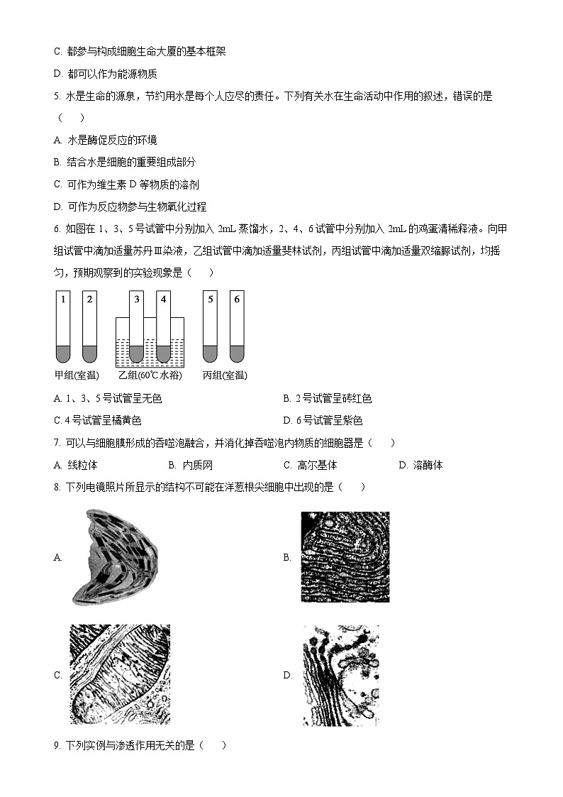 广东省江门市高一上学期期末生物试题（原卷版）-A4第2页