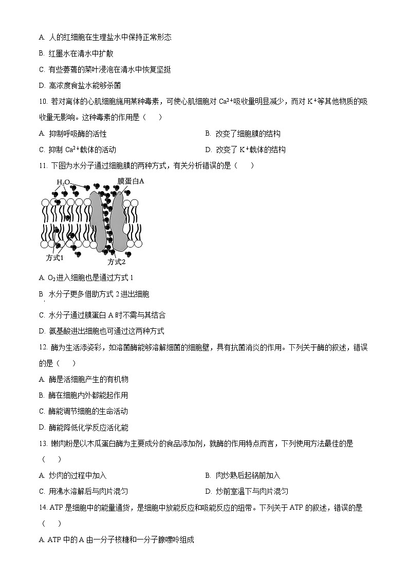 广东省江门市高一上学期期末生物试题（原卷版）-A4第3页
