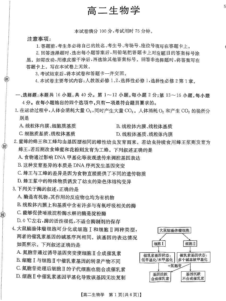 金太阳广东省2027届高二上学期1月期末联考248B生物试卷（含答案）第1页