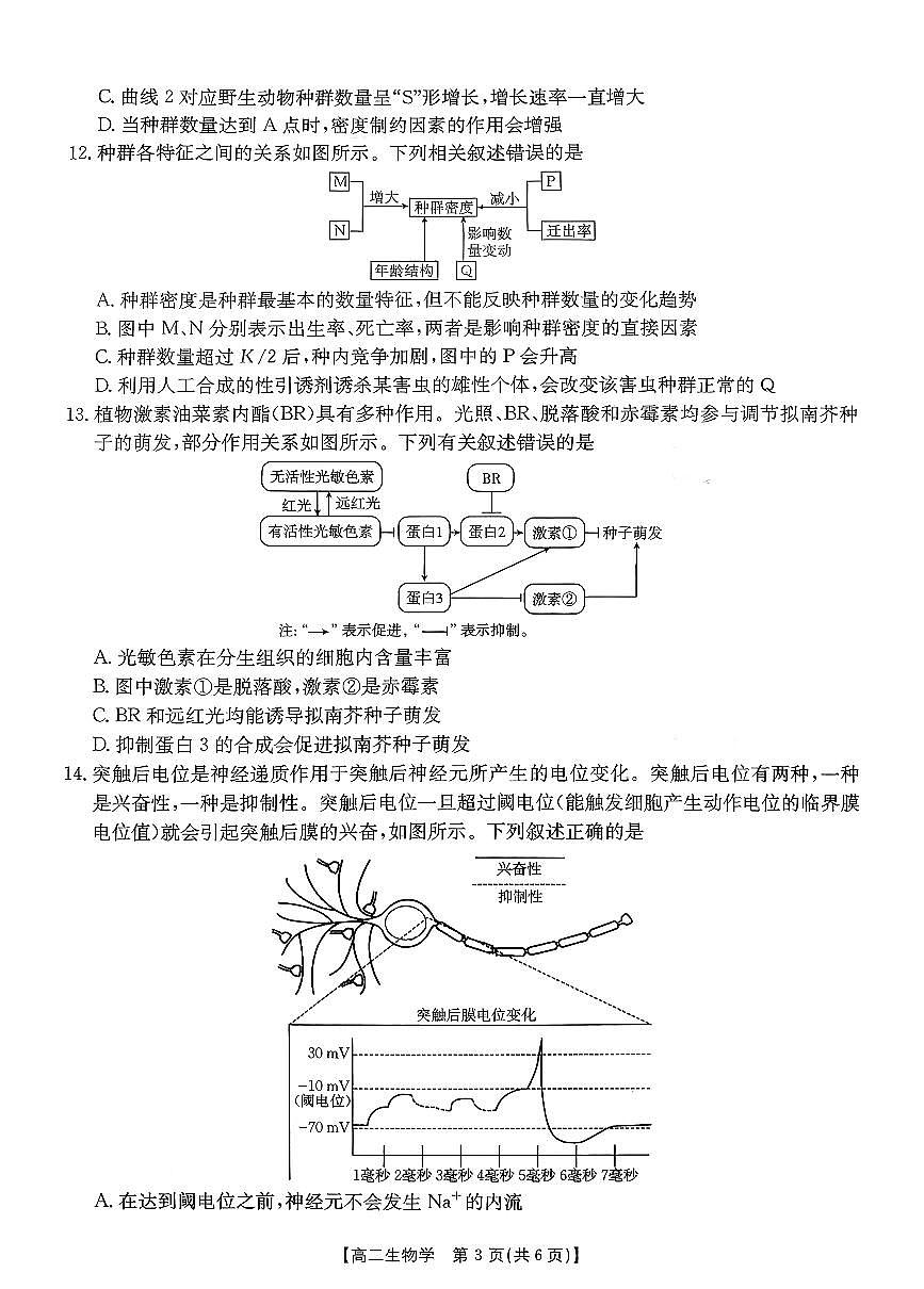 金太阳广东省2027届高二上学期1月期末联考248B生物试卷（含答案）第3页