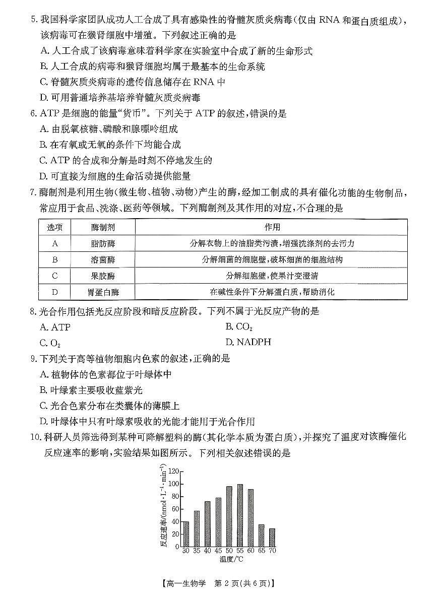 金太阳广东省2028届高一上学期1月期末联考248A生物试卷（含答案）第2页