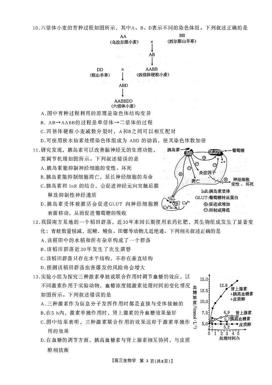 金太阳辽宁省辽阳市2026届高三上学期1月期末考试生物试卷（含答案）第3页