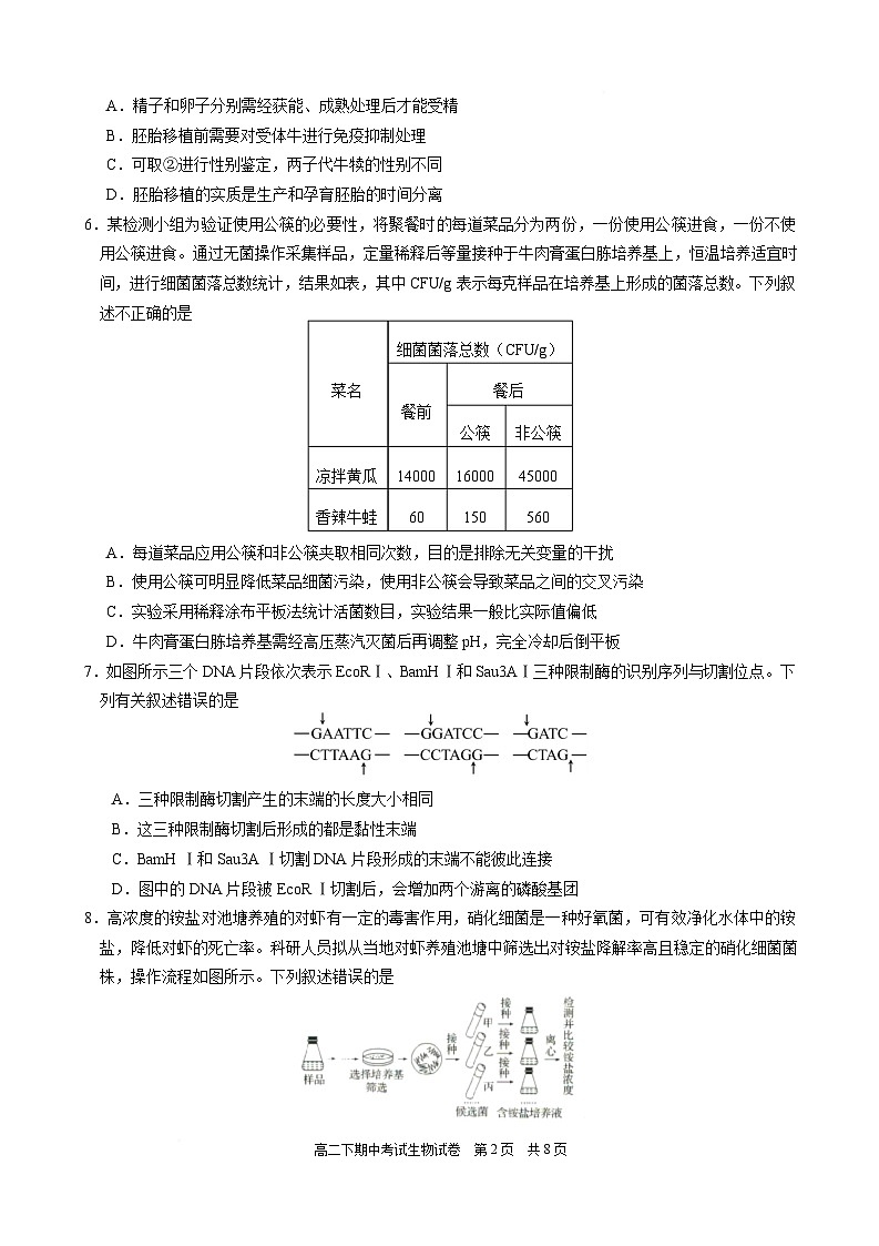 福建省厦门外国语学校2024-2025学年高二下学期期中考试生物试卷（有答案）第2页