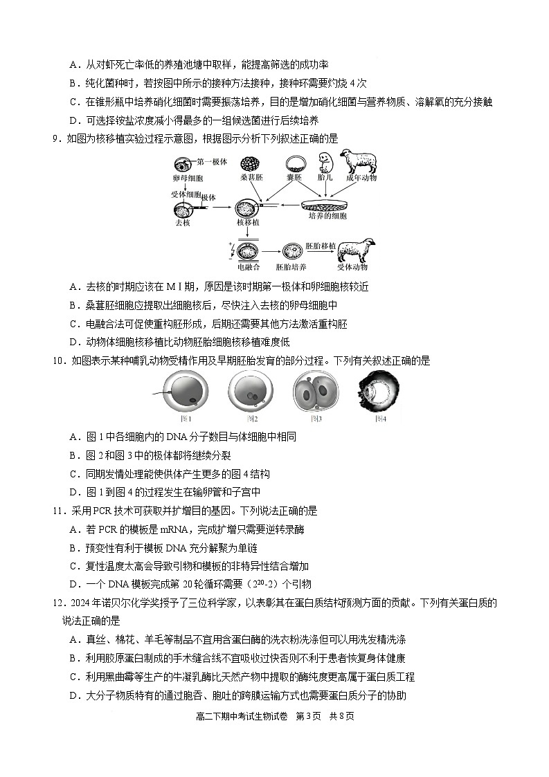 福建省厦门外国语学校2024-2025学年高二下学期期中考试生物试卷（有答案）第3页