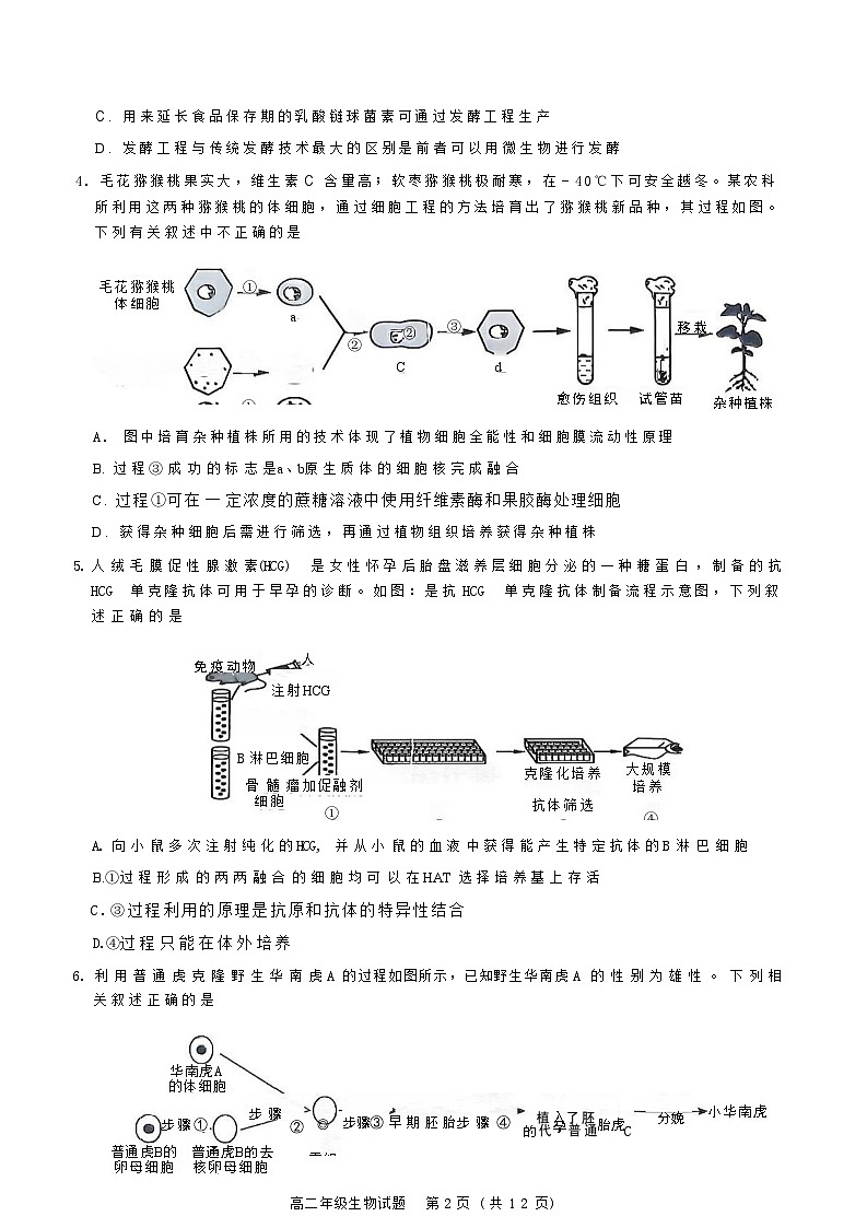 河南省南阳市六校2024-2025学年高二下学期第二次联考生物试卷(含详解)第3页