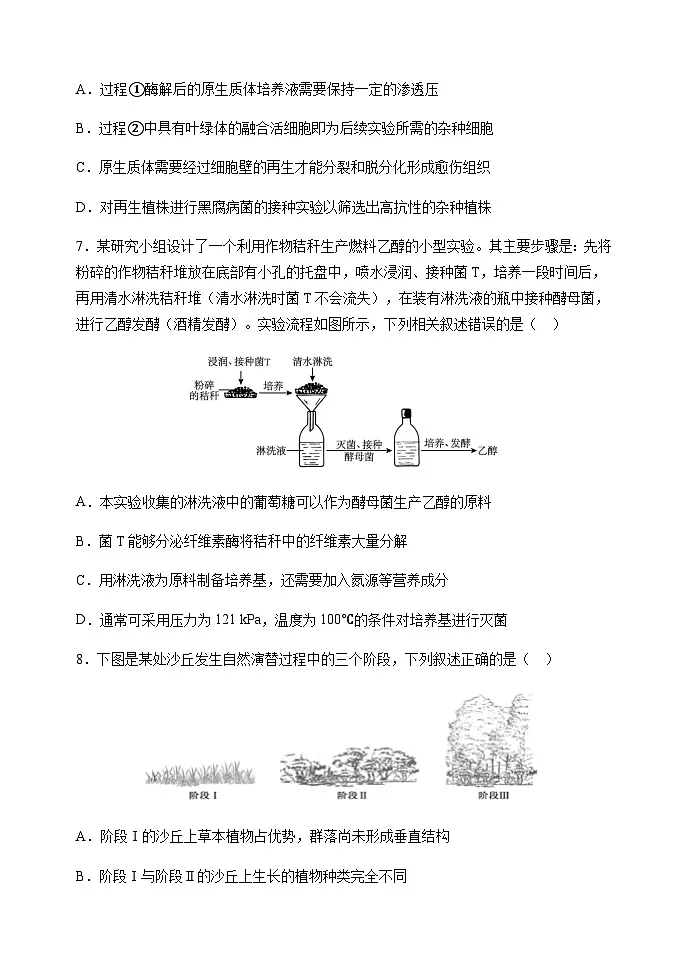 黑龙江省龙东十校联盟2024-2025学年高二下学期期中生物学试卷（含答案）第3页