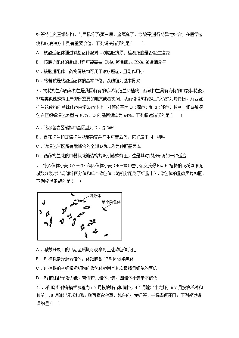 辽宁锦州市某校2025-2026学年高三下学期开学考试生物试卷含答案第3页