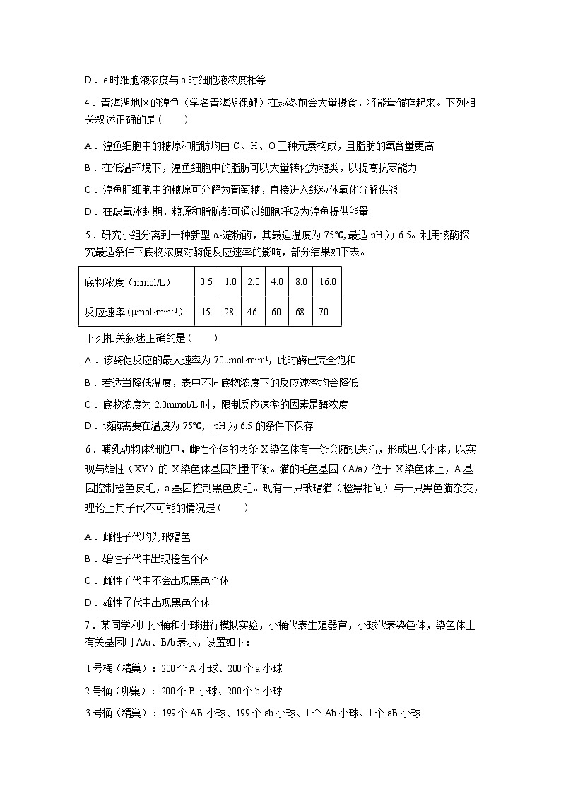内蒙古自治区巴巴彦淖尔市第一中学2025-2026学年高三下学期开学生物试题含答案第2页