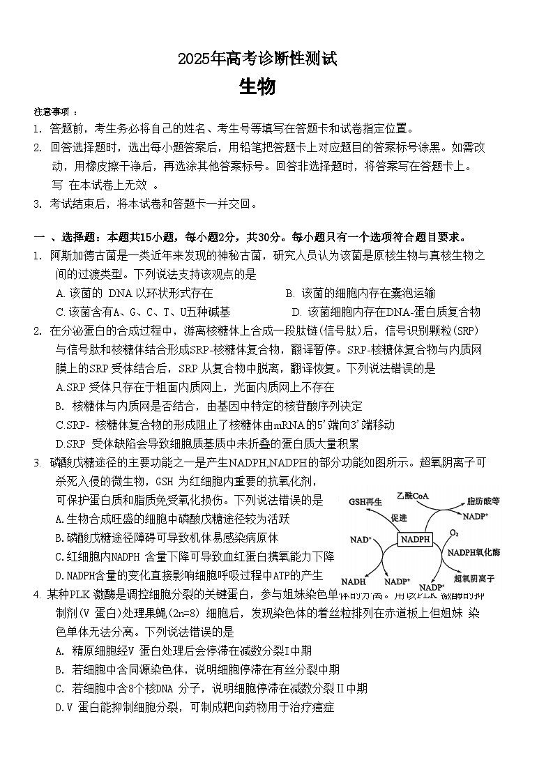 山东省烟台市2025届高三一模考试 生物试题（含答案）第1页