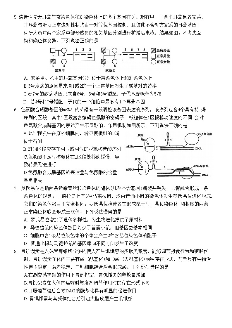 山东省烟台市2025届高三一模考试 生物试题（含答案）第2页