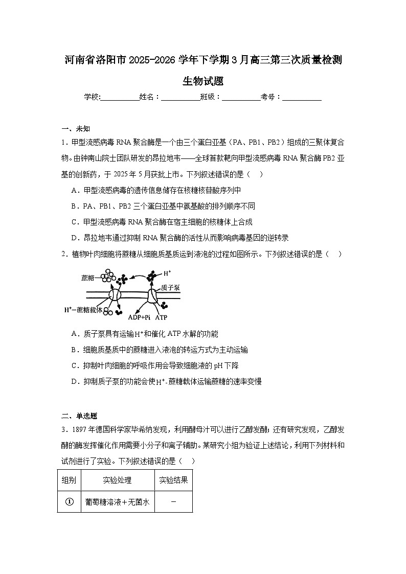 2025-2026学年河南省洛阳市下学期3月高三第三次质量检测生物试题（无答案）第1页