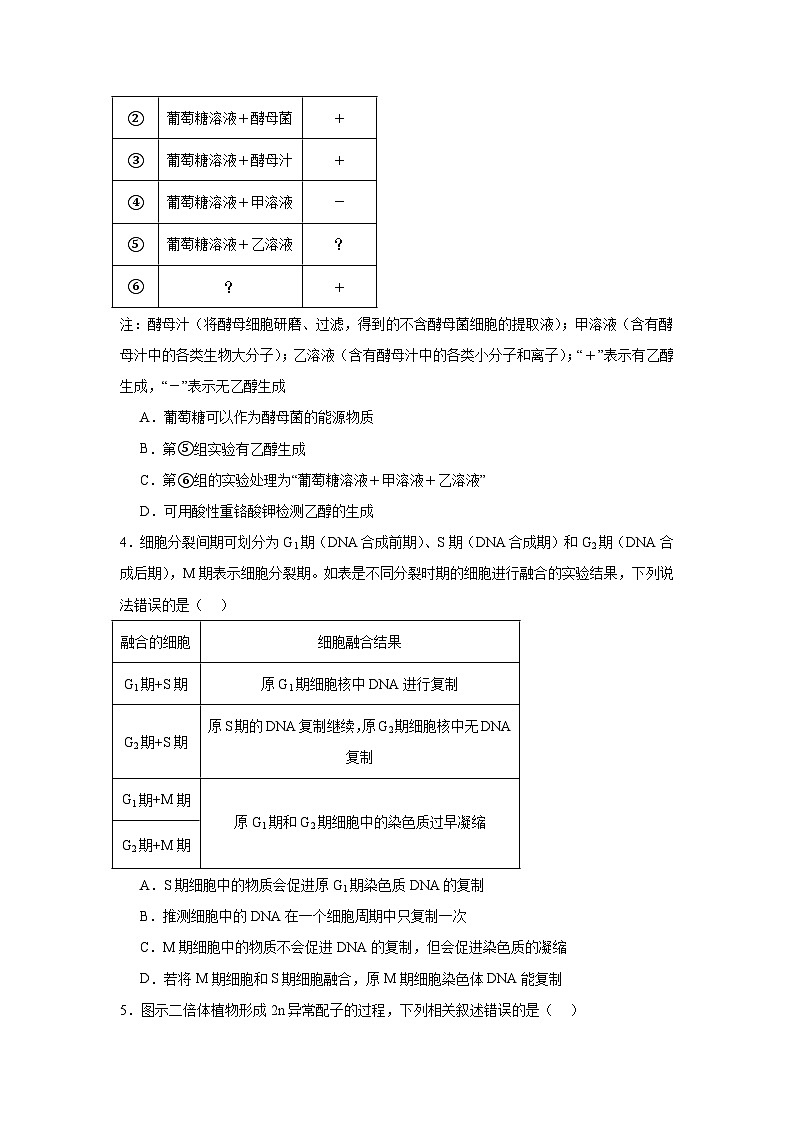 2025-2026学年河南省洛阳市下学期3月高三第三次质量检测生物试题（无答案）第2页