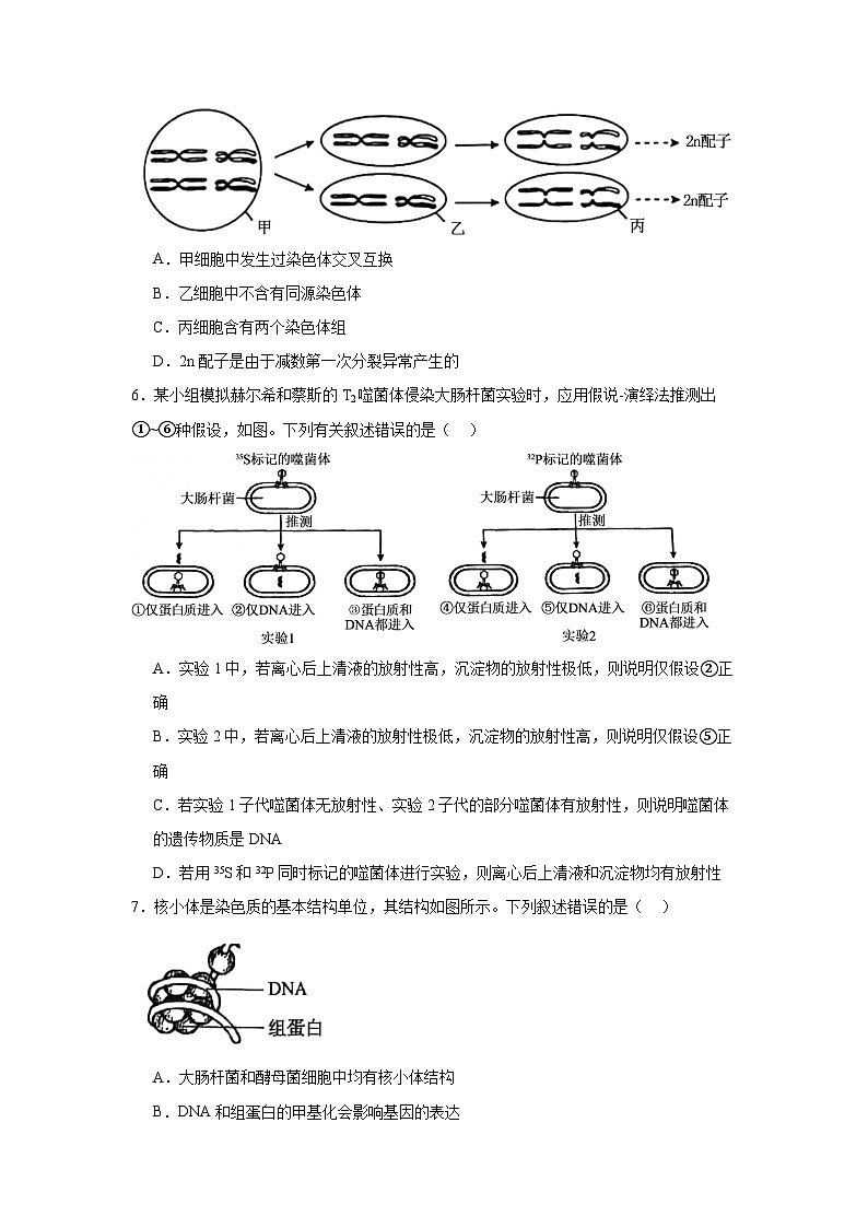 2025-2026学年河南省洛阳市下学期3月高三第三次质量检测生物试题（无答案）第3页
