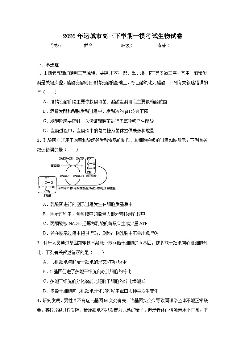 2026年山西运城市高三下学期一模考试生物试卷（附答案解析）第1页