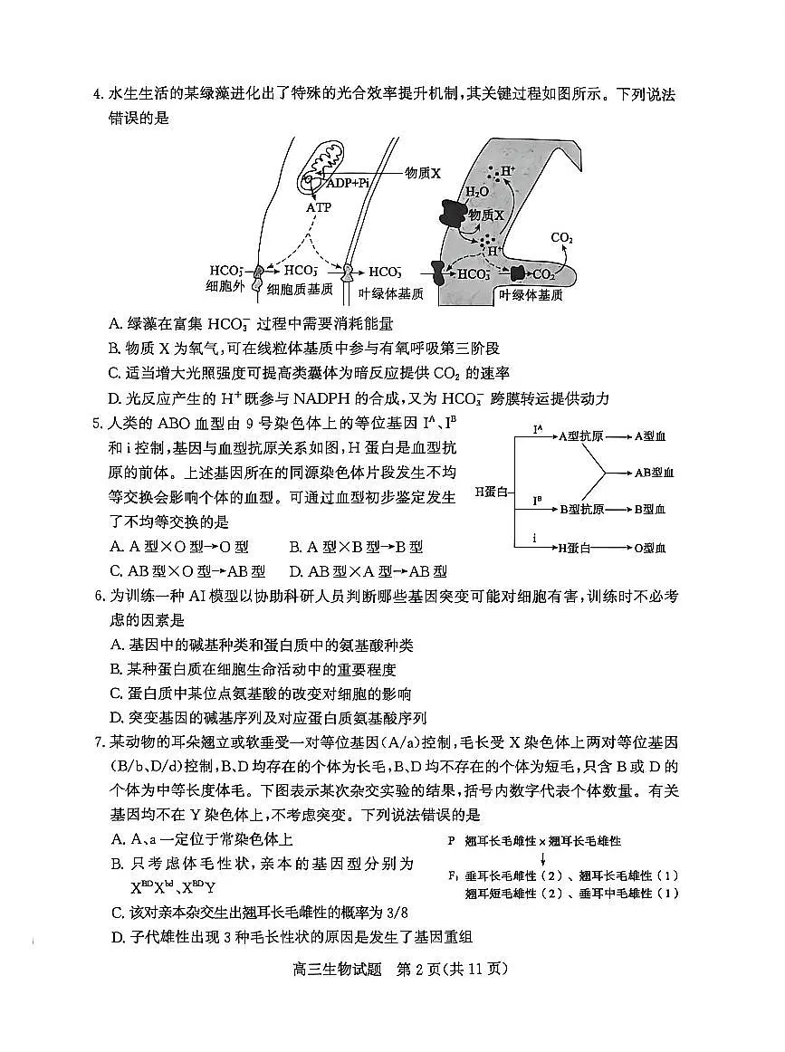 山东省滨州市2026届高三年级一模考试 生物第2页