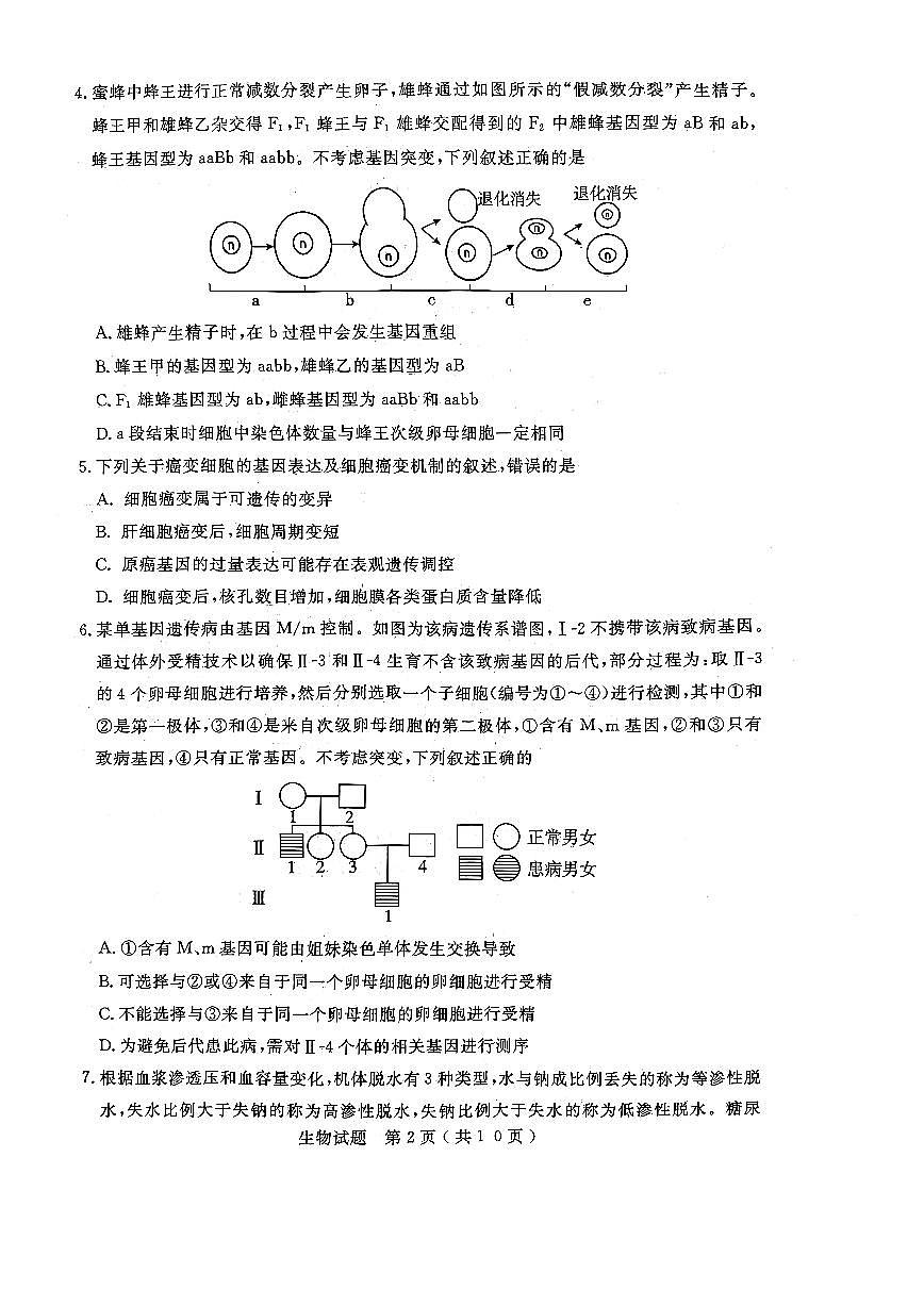 济宁市2026届高三年级一模考试 生物第2页