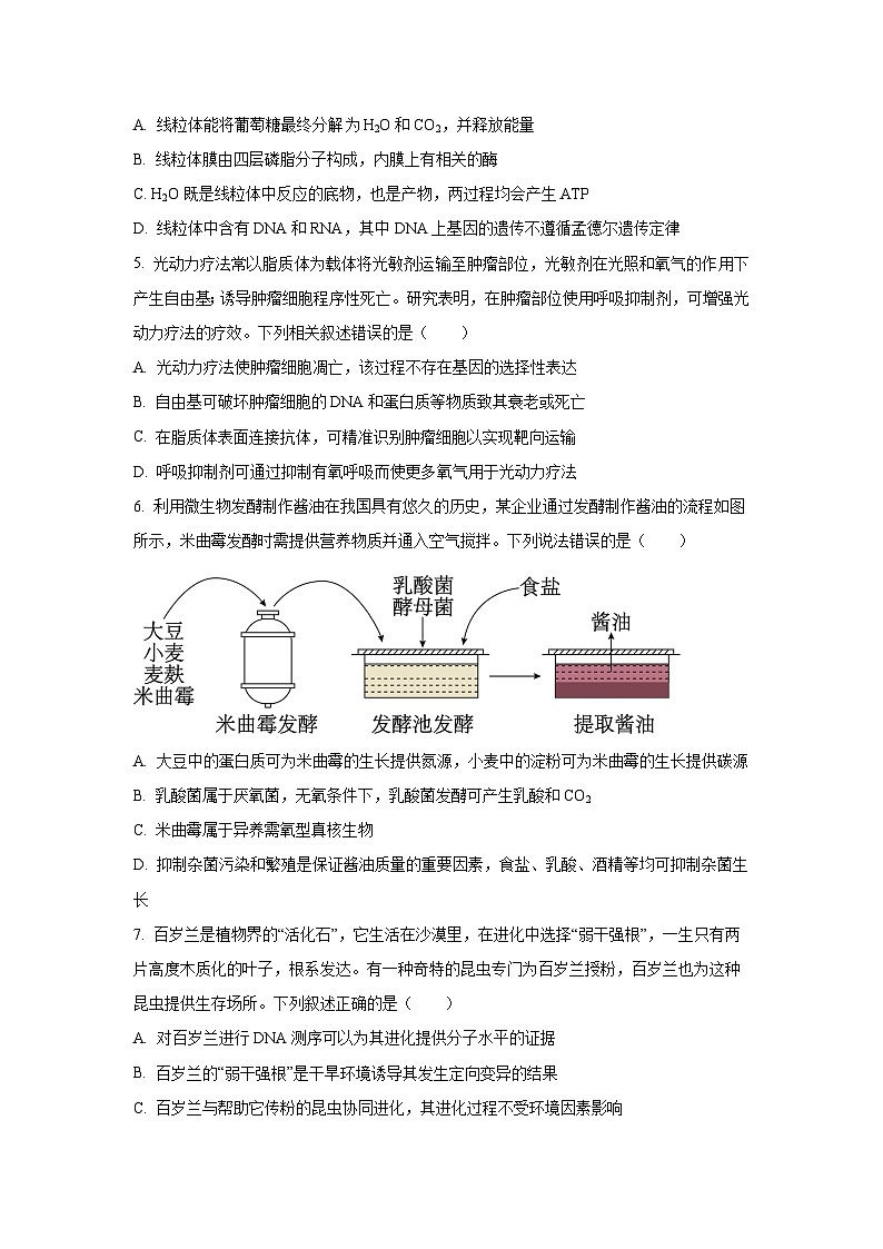 【生物】河南省普通高中2025-2026学年高三下学期开学试题（学生版）第2页