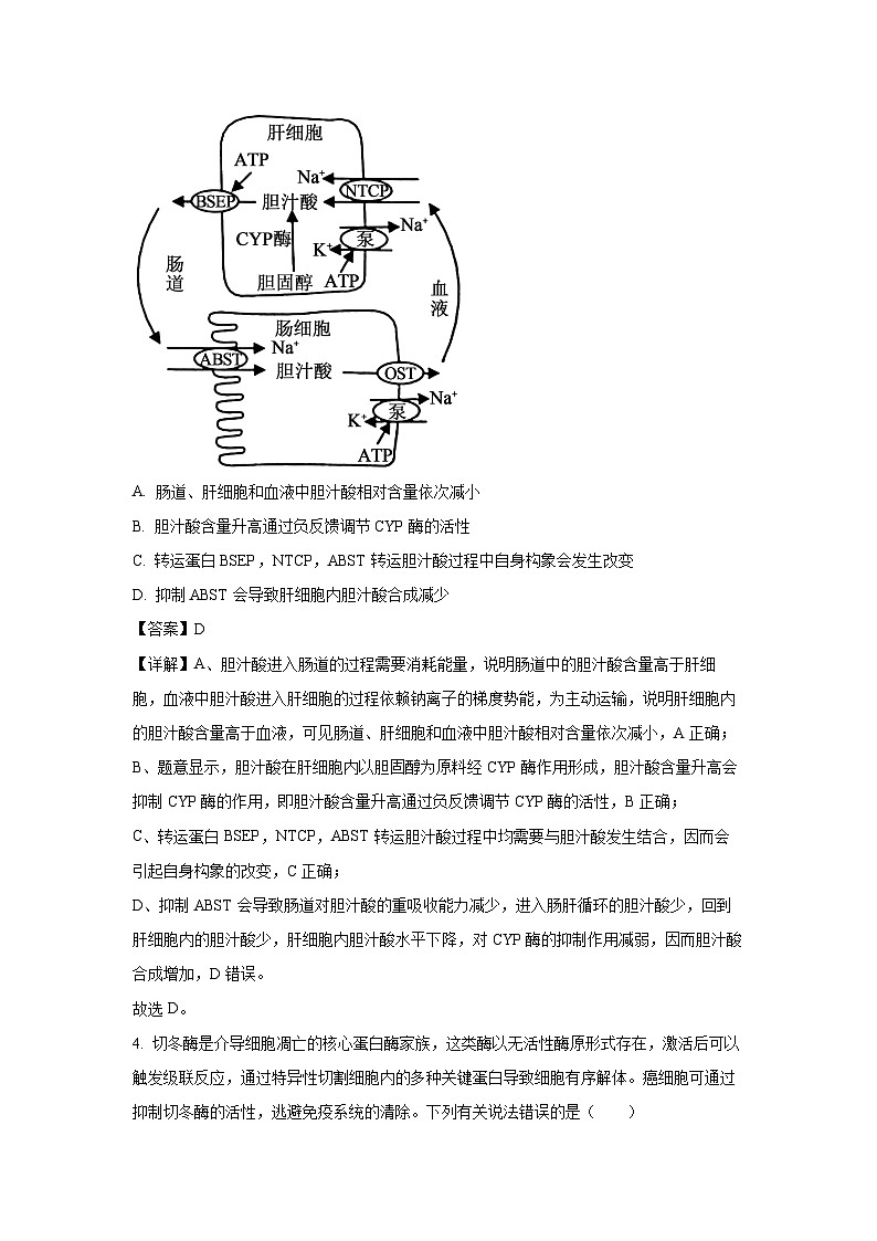 【生物】山东临沂市2026届高三普通高中学业水平考试模拟试题（解析版）第3页