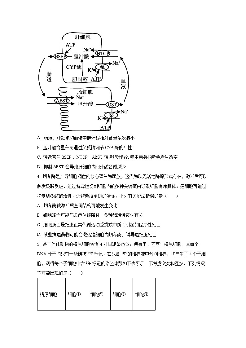 【生物】山东临沂市2026届高三普通高中学业水平考试模拟试题（学生版）第2页