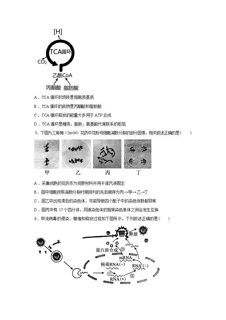 江苏南京市2026届名校联盟高三下学期第一次调研生物试题含答案第2页