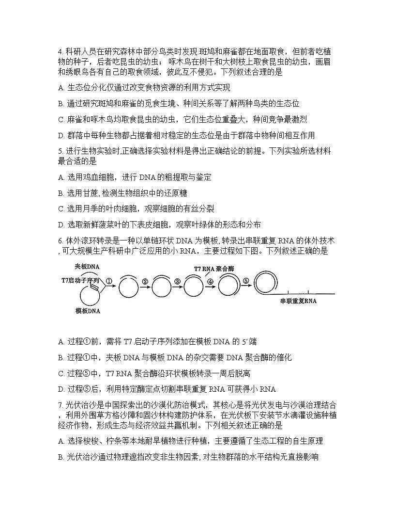 湖南省怀化市2026年高三高考一模生物学试卷含答案第2页
