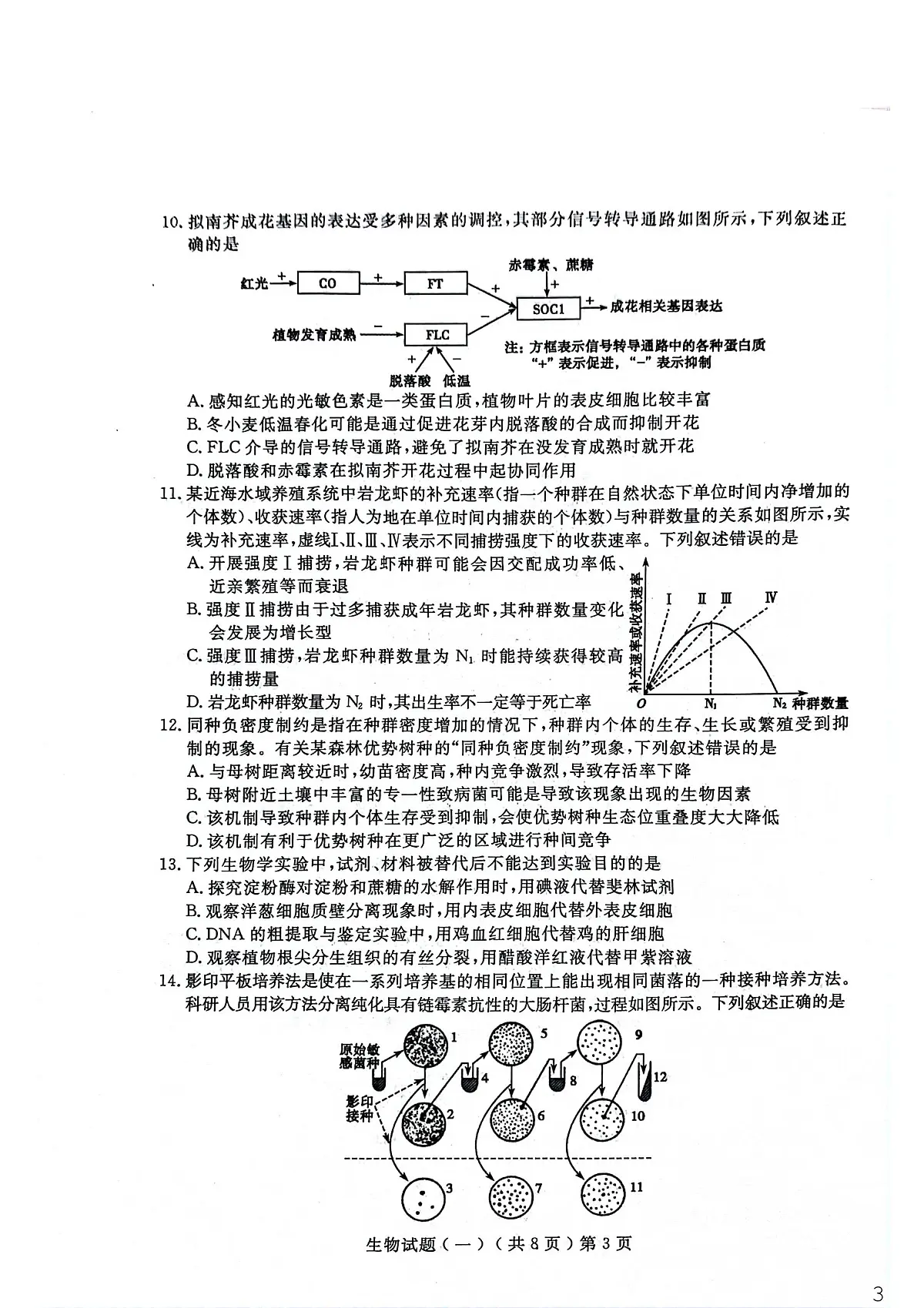 聊城市2026年普通高中学业水平等级考试模拟卷 生物第3页