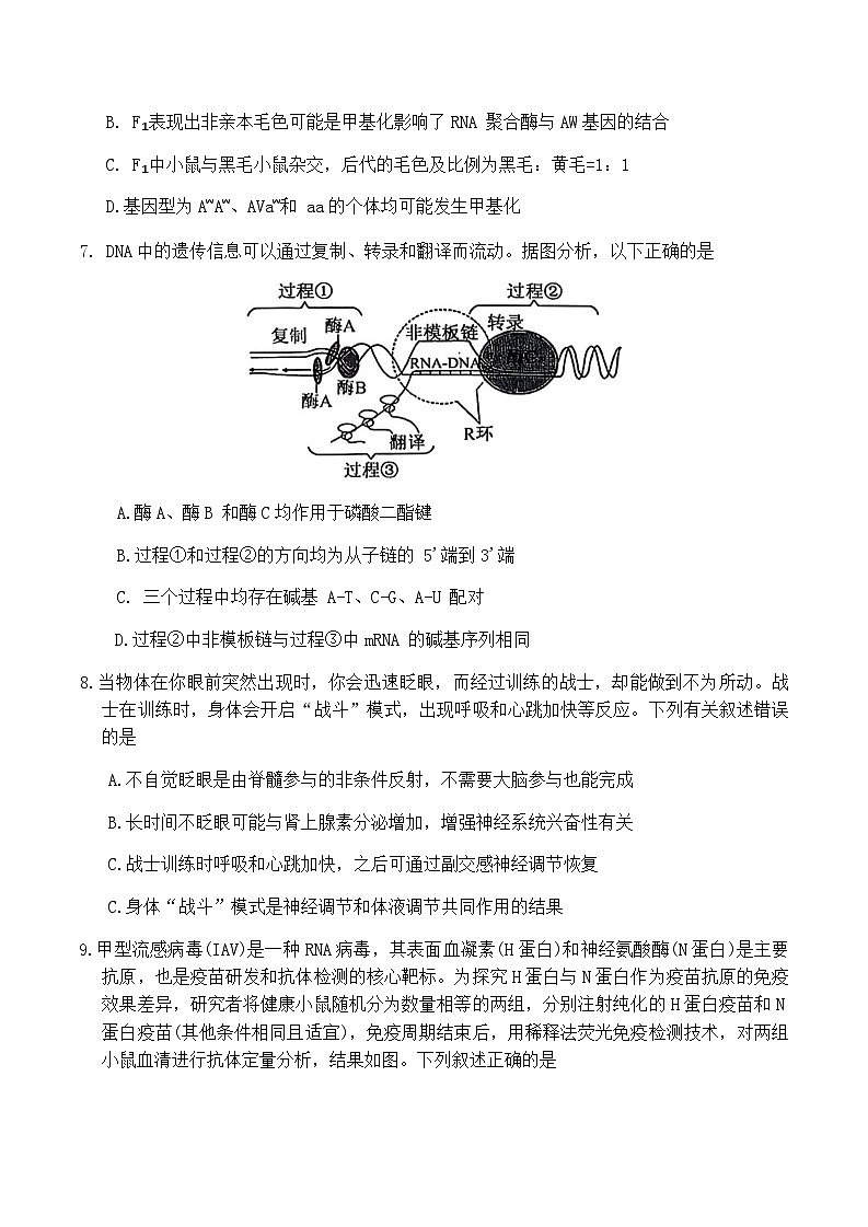 山西省大同市2026届高三年级第一次模拟考试质量监测生物学试卷（含答案）第3页
