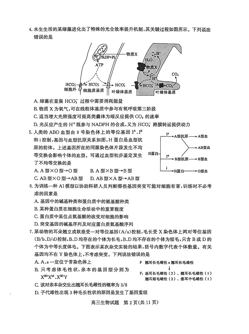 山东省滨州市2026届高三下学期高考一模生物试卷第2页